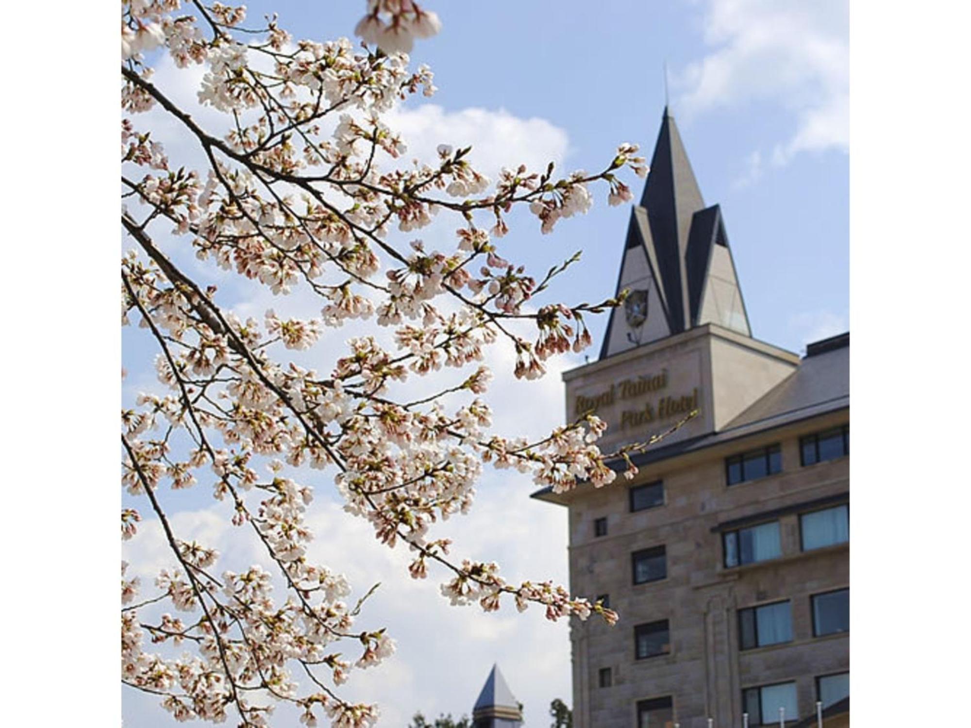 Shintainai Onsen Royal Tainai Park Hotel - Vacation Stay 90212V Exteriér fotografie
